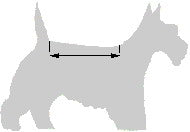 Load image into Gallery viewer, Hearts and Snowflakes Sweater Dress By Dallas Dogs